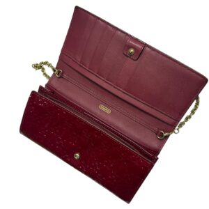 Coach Wallet/Bag